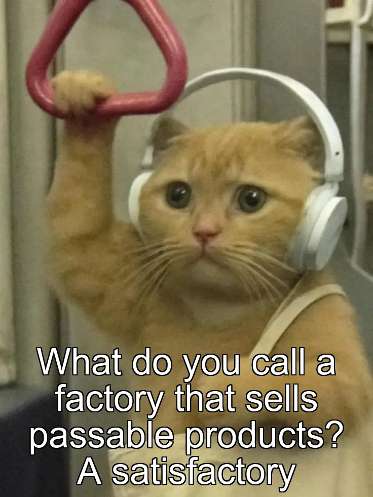What do you call a factory that sells passable products? A satisfactory
