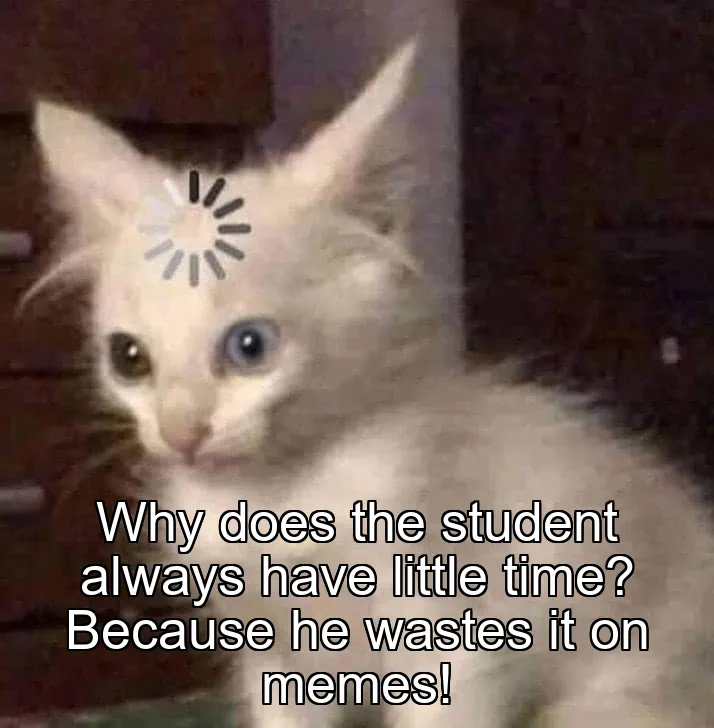 Why does the student always have little time? Because he wastes it on memes!