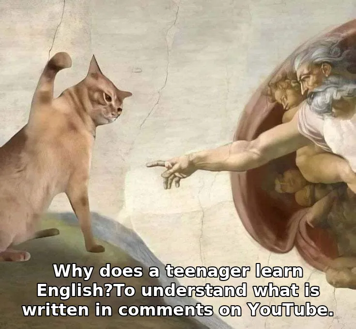 Why does a teenager learn English?To understand what is written in comments on YouTube.