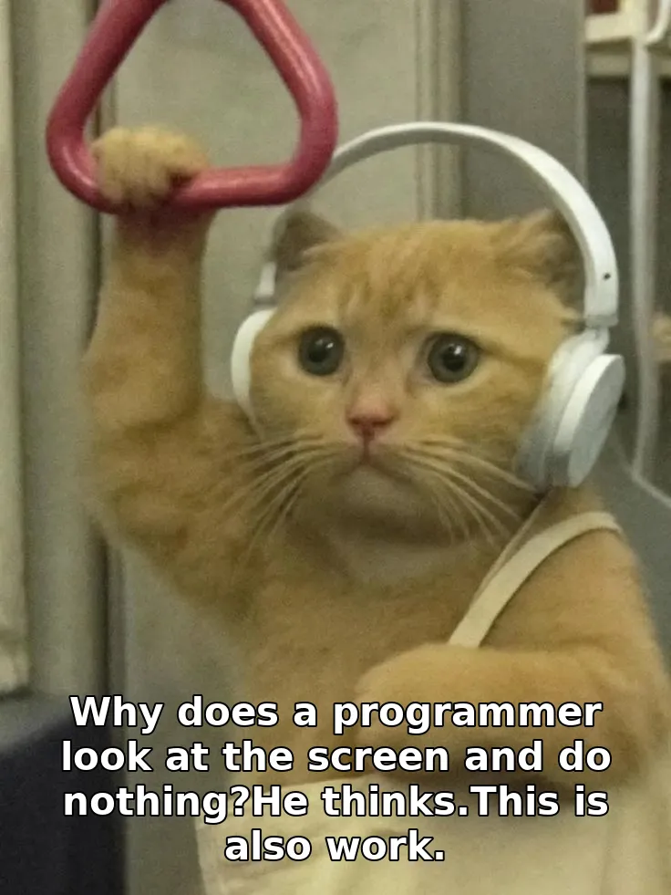 Why does a programmer look at the screen and do nothing?He thinks.This is also work.