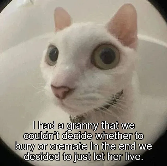 I had a granny that we couldn't decide whether to bury or cremate In the end we decided to just let her live.