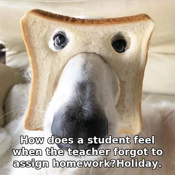How does a student feel when the teacher forgot to assign homework?Holiday.