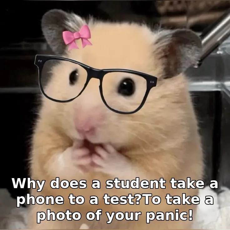 Why does a student take a phone to a test?To take a photo of your panic!