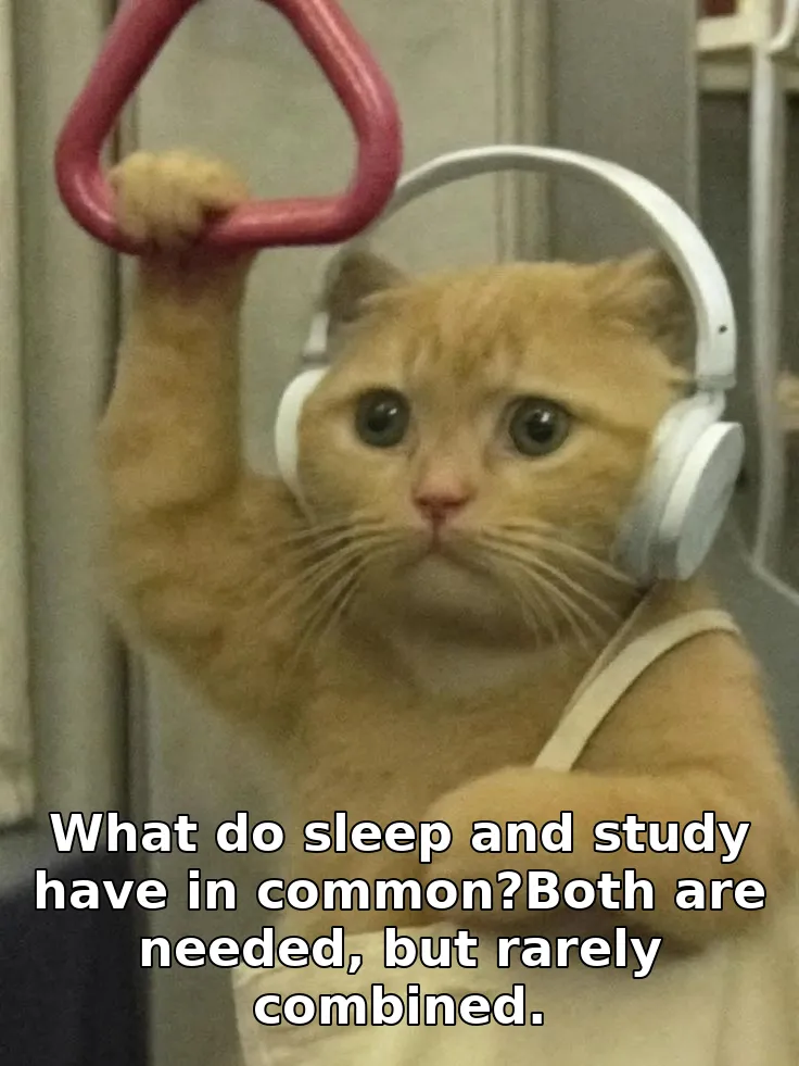 What do sleep and study have in common?Both are needed, but rarely combined.
