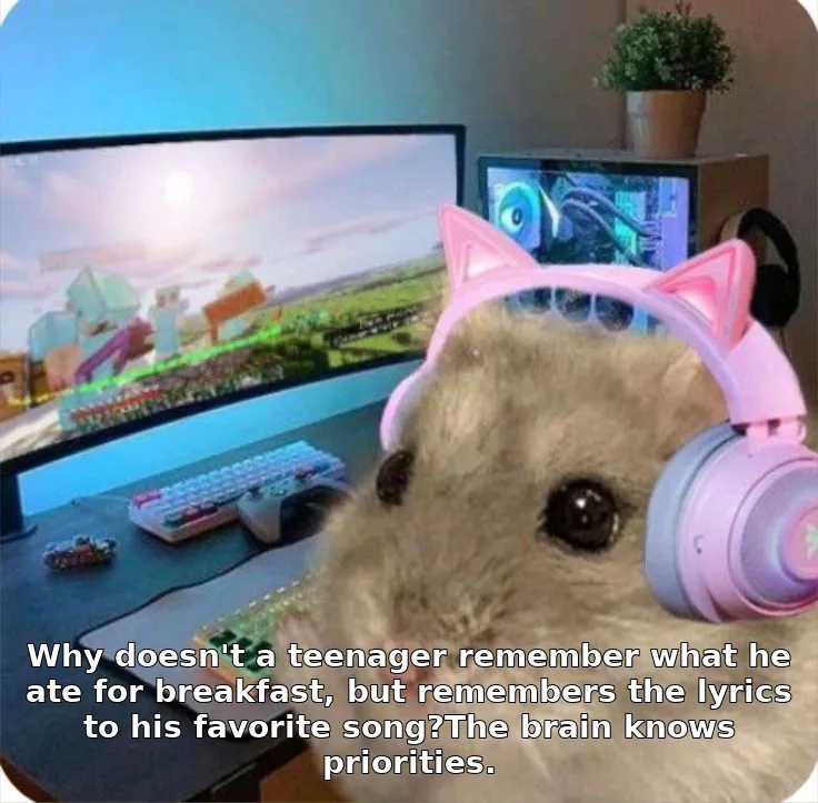Why doesn't a teenager remember what he ate for breakfast, but remembers the lyrics to his favorite song?The brain knows priorities.
