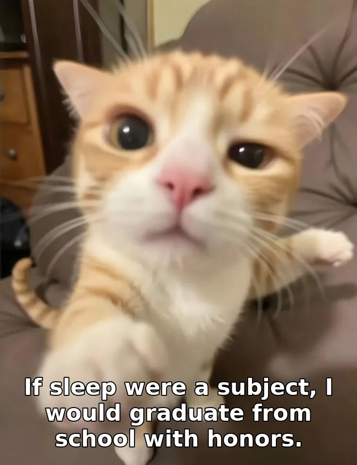 If sleep were a subject, I would graduate from school with honors.