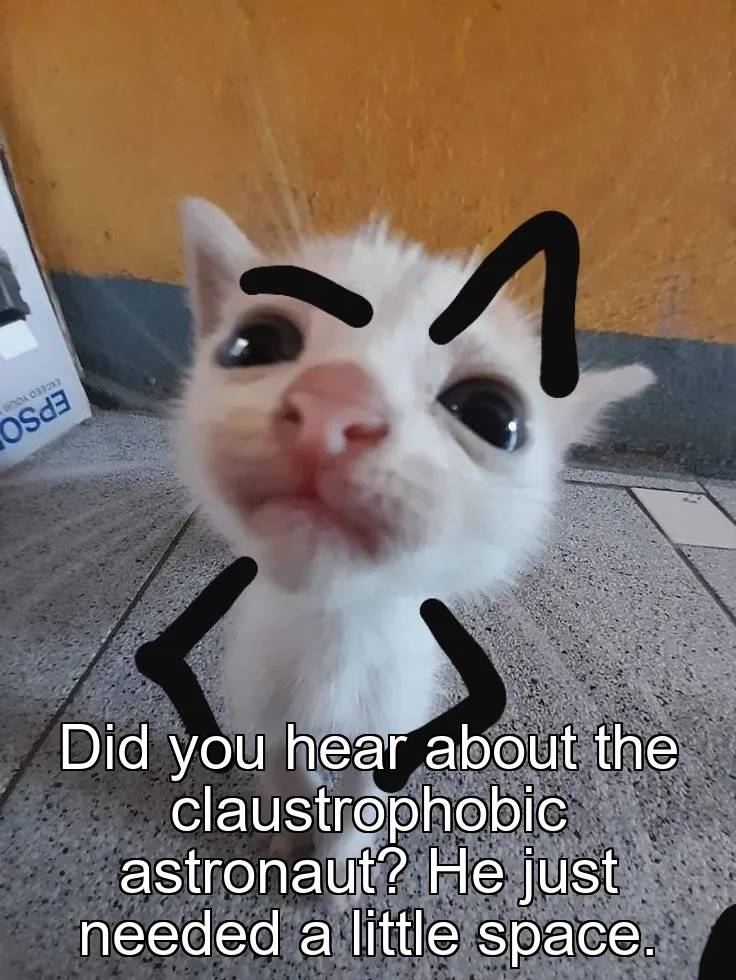 Did you hear about the claustrophobic astronaut? He just needed a little space.