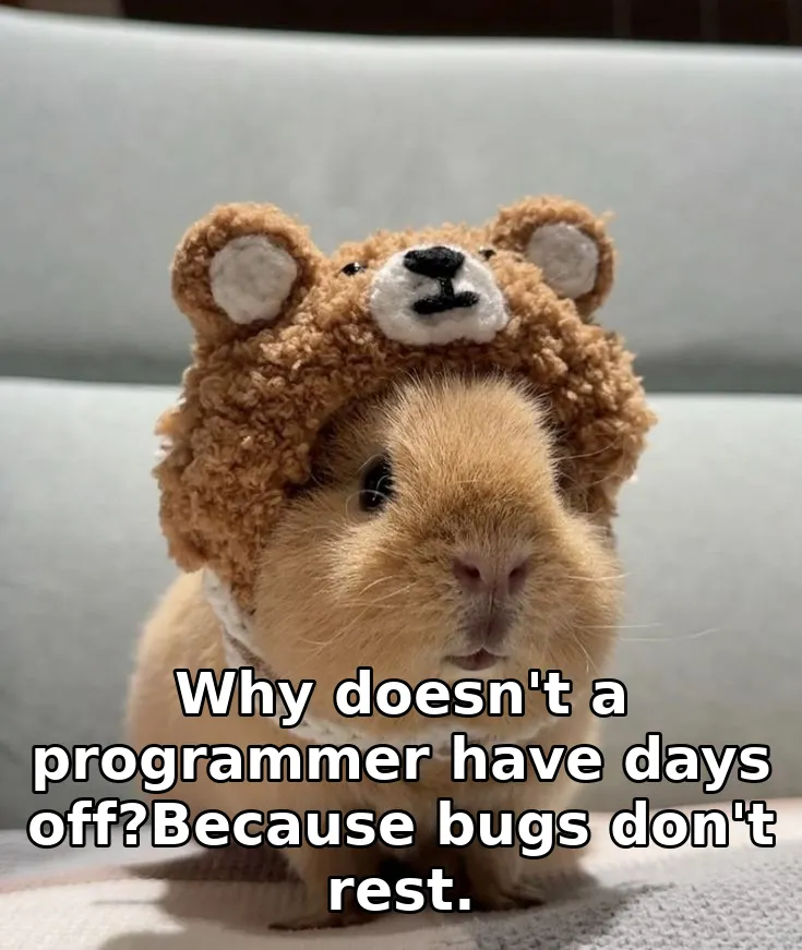 Why doesn't a programmer have days off?Because bugs don't rest.