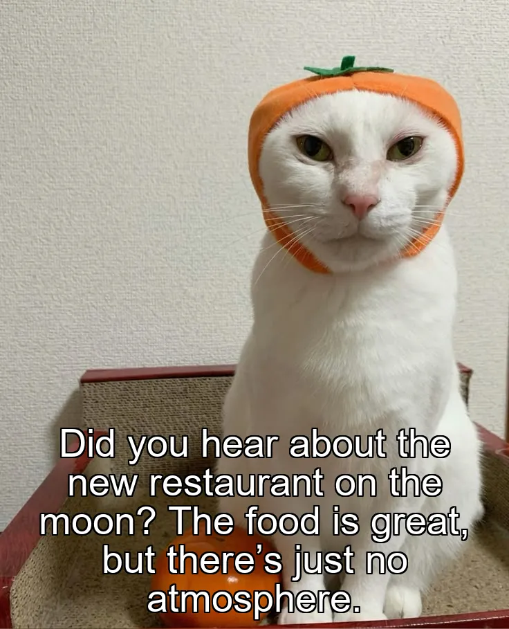 Did you hear about the new restaurant on the moon? The food is great, but there’s just no atmosphere.