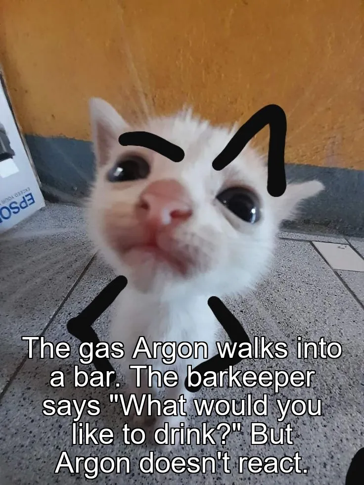 The gas Argon walks into a bar.
The barkeeper says "What would you like to drink?" But Argon doesn't react.