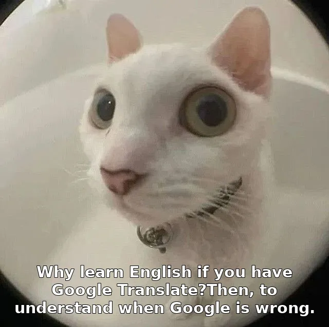 Why learn English if you have Google Translate?Then, to understand when Google is wrong.