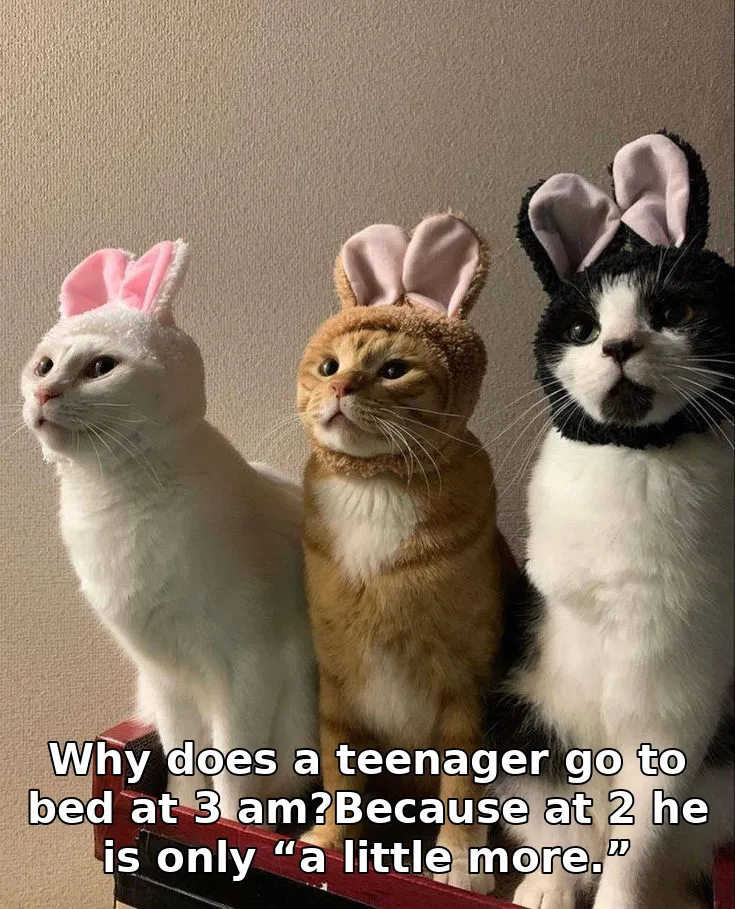 Why does a teenager go to bed at 3 am?Because at 2 he is only “a little more.”