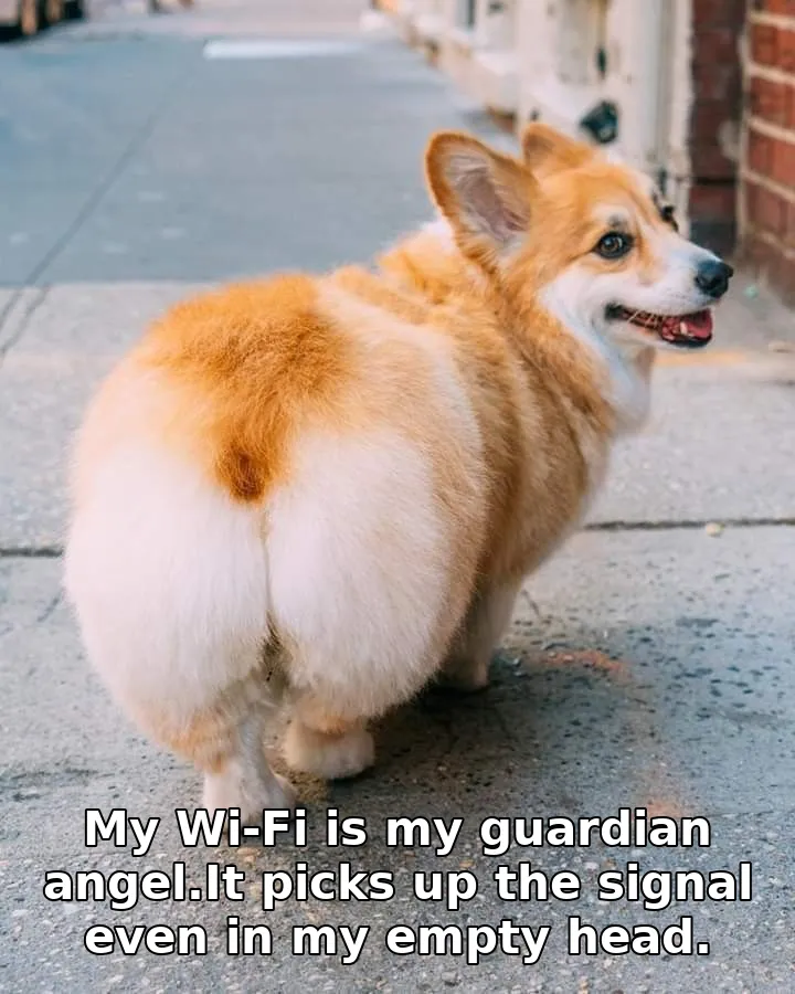 My Wi-Fi is my guardian angel.It picks up the signal even in my empty head.
