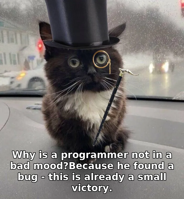 Why is a programmer not in a bad mood?Because he found a bug - this is already a small victory.