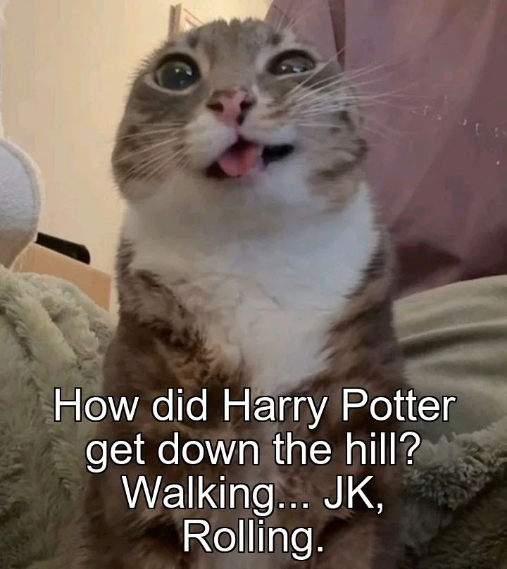 How did Harry Potter get down the hill? Walking...
JK, Rolling.