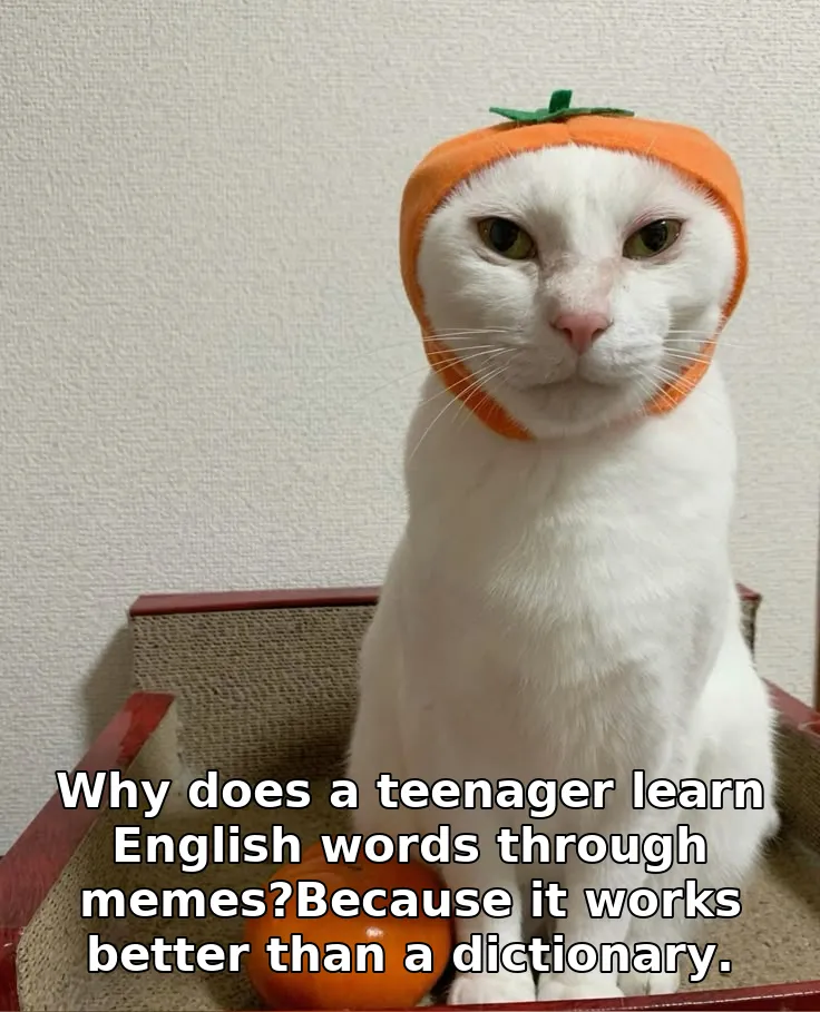Why does a teenager learn English words through memes?Because it works better than a dictionary.