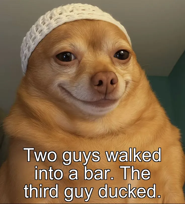 Two guys walked into a bar. The third guy ducked.