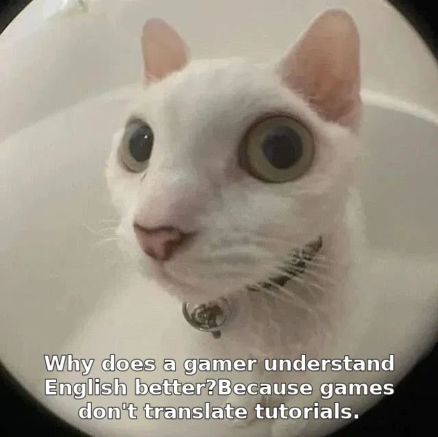 Why does a gamer understand English better?Because games don't translate tutorials.