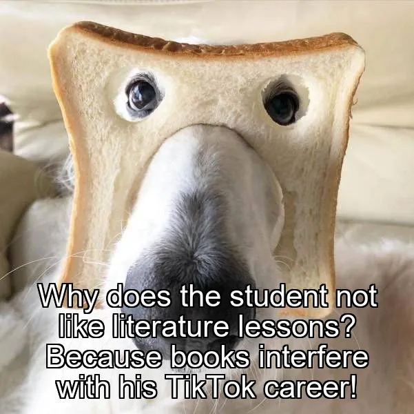 Why does the student not like literature lessons? Because books interfere with his TikTok career!