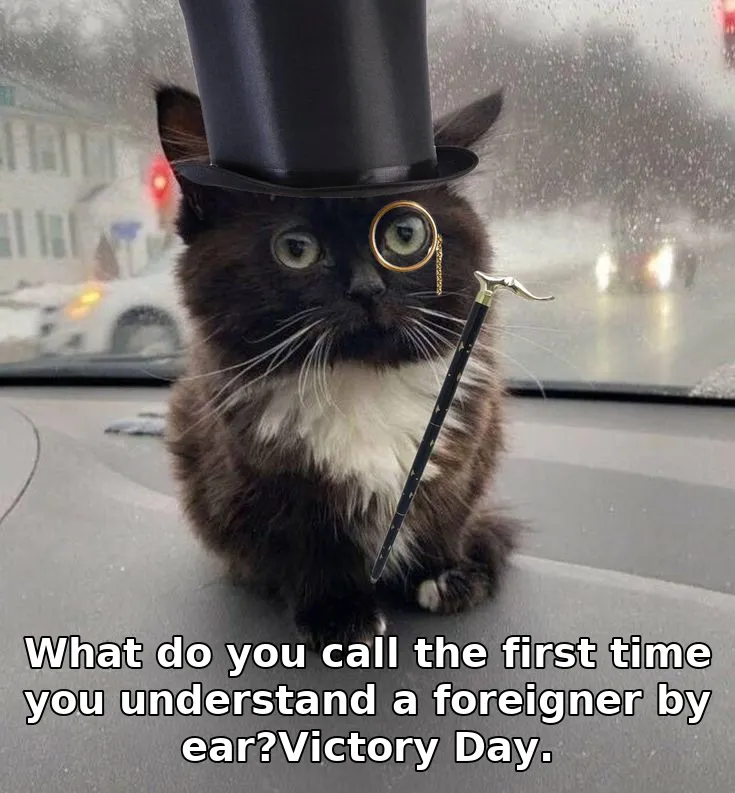 What do you call the first time you understand a foreigner by ear?Victory Day.