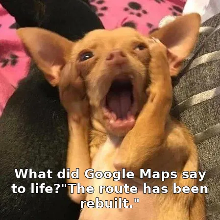 What did Google Maps say to life?"The route has been rebuilt."