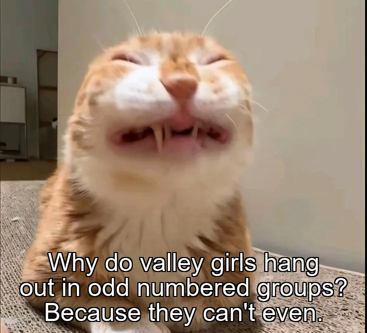 Why do valley girls hang out in odd numbered groups? Because they can't even.