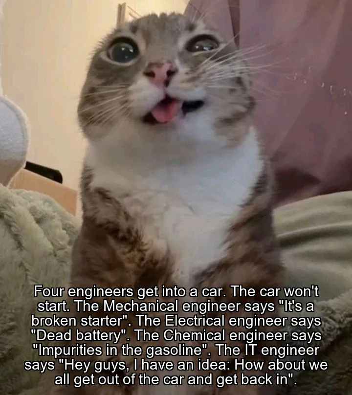 Four engineers get into a car. The car won't start.
The Mechanical engineer says "It's a broken starter".
The Electrical engineer says "Dead battery".
The Chemical engineer says "Impurities in the gasoline".
The IT engineer says "Hey guys, I have an idea: How about we all get out of the car and get back in".