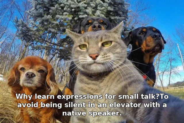 Why learn expressions for small talk?To avoid being silent in an elevator with a native speaker.