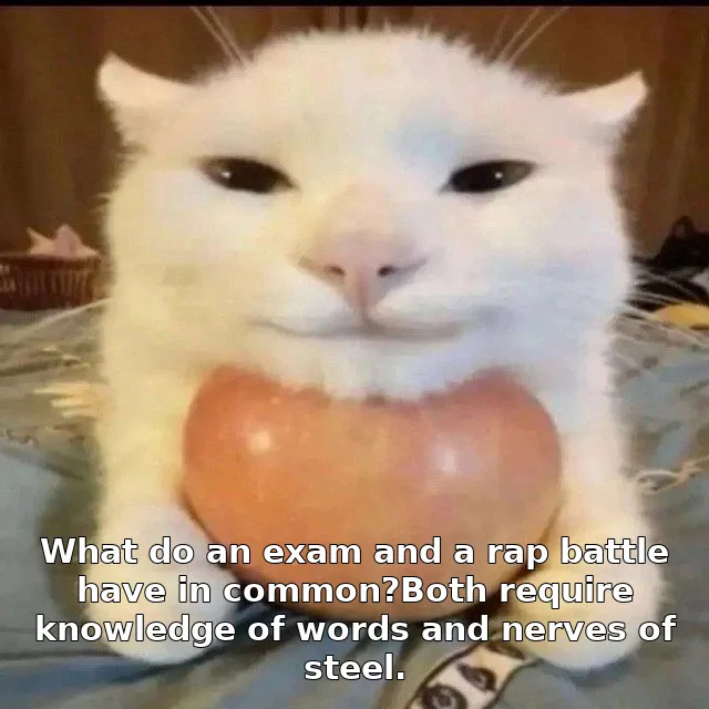 What do an exam and a rap battle have in common?Both require knowledge of words and nerves of steel.