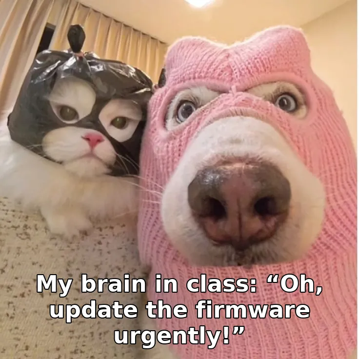 My brain in class: “Oh, update the firmware urgently!”