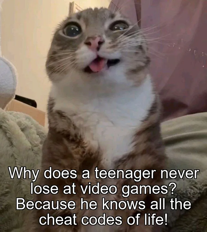 Why does a teenager never lose at video games? Because he knows all the cheat codes of life!