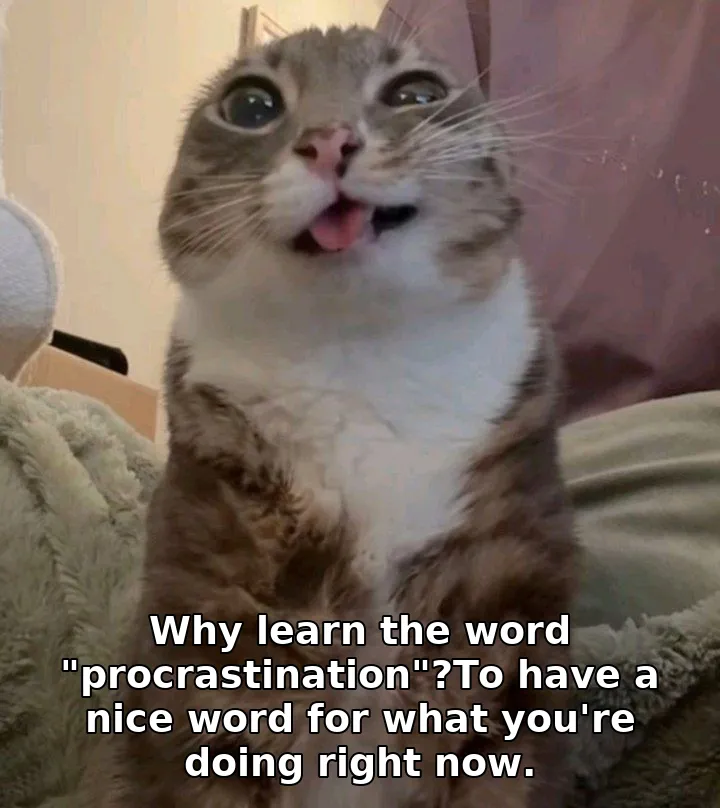 Why learn the word "procrastination"?To have a nice word for what you're doing right now.