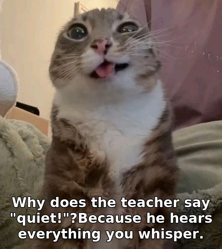Why does the teacher say "quiet!"?Because he hears everything you whisper.