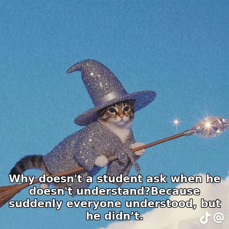 Why doesn't a student ask when he doesn't understand?Because suddenly everyone understood, but he didn’t.