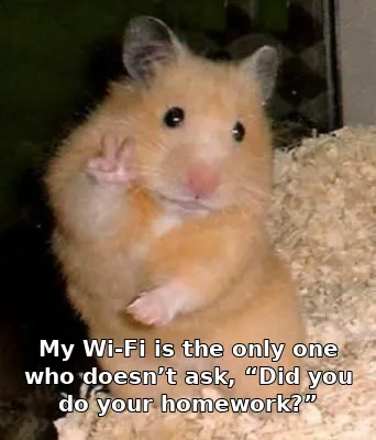 My Wi-Fi is the only one who doesn’t ask, “Did you do your homework?”