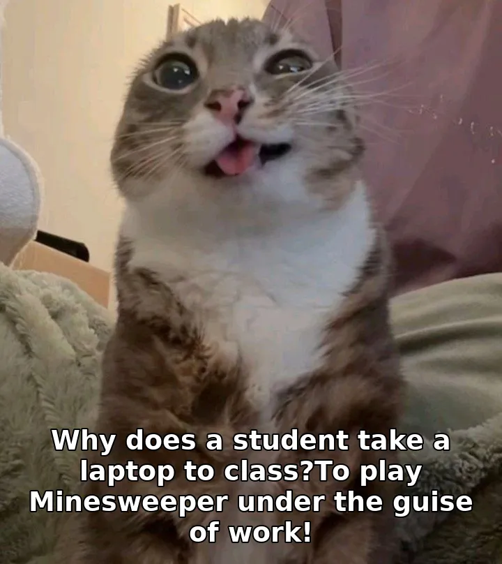 Why does a student take a laptop to class?To play Minesweeper under the guise of work!