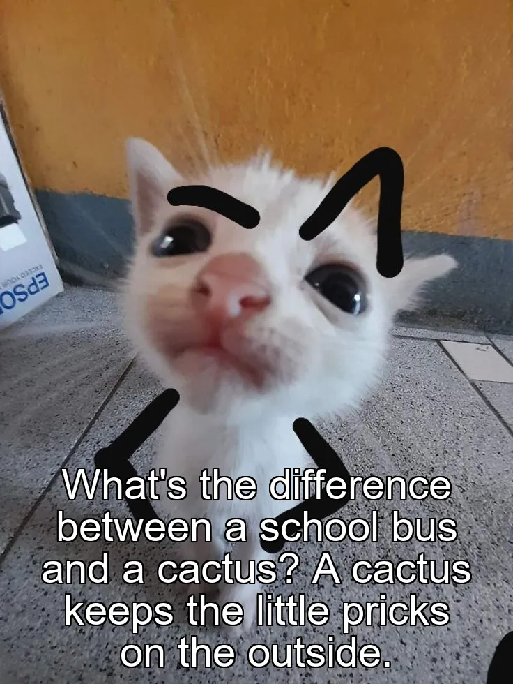 What's the difference between a school bus and a cactus? A cactus keeps the little pricks on the outside.