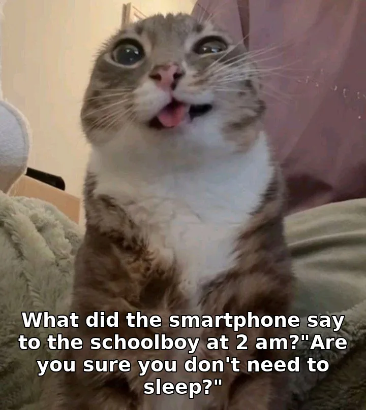What did the smartphone say to the schoolboy at 2 am?"Are you sure you don't need to sleep?"