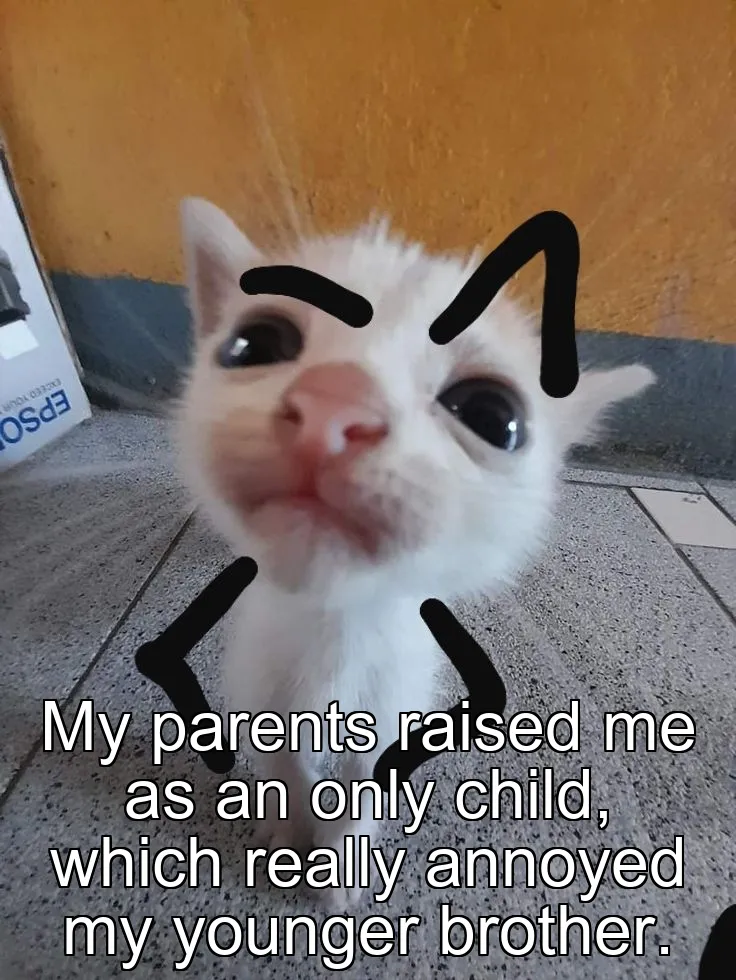 My parents raised me as an only child, which really annoyed my younger brother.