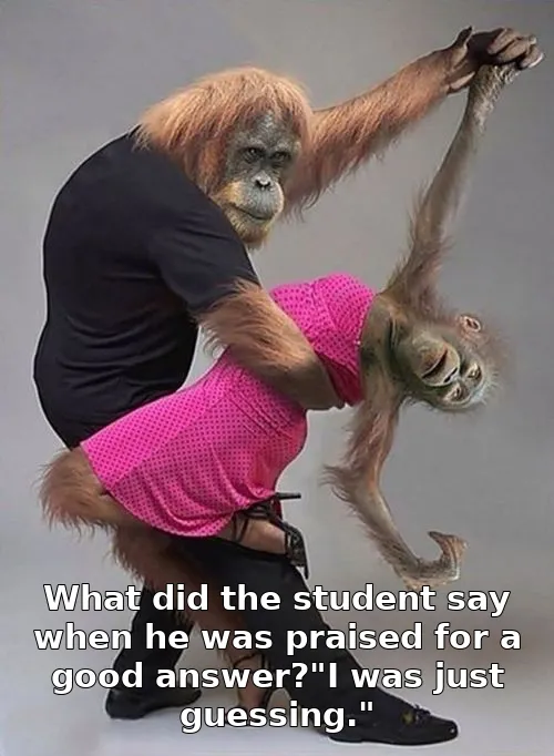 What did the student say when he was praised for a good answer?"I was just guessing."