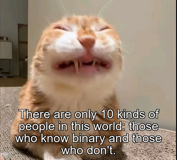 There are only 10 kinds of people in this world: those who know binary and those who don't.