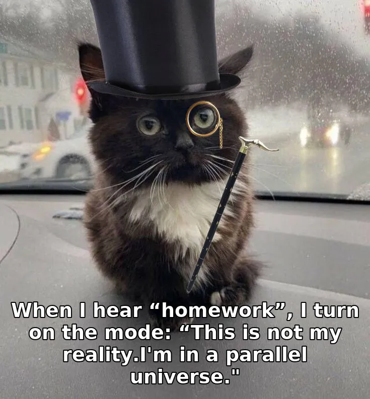 When I hear “homework”, I turn on the mode: “This is not my reality.I'm in a parallel universe."