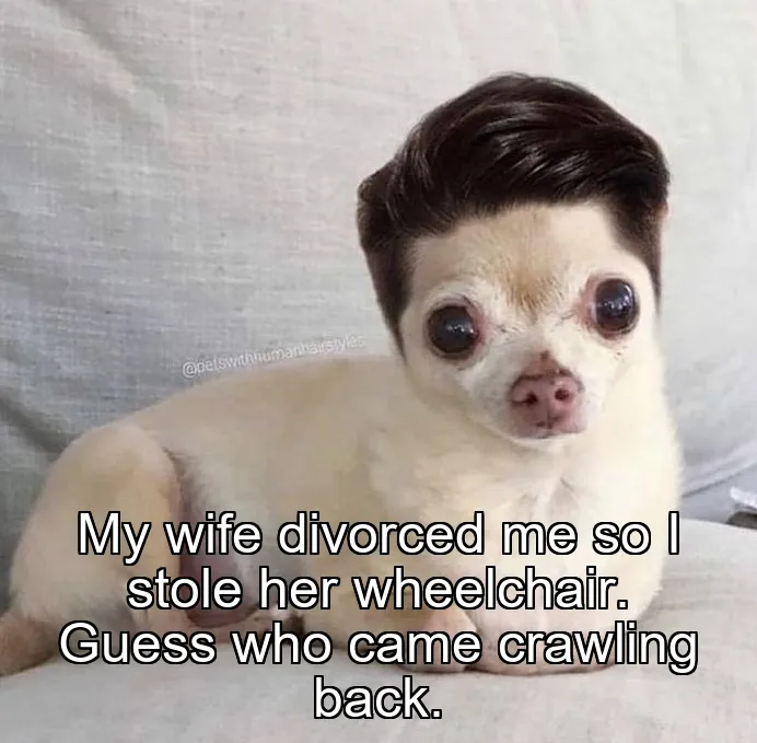 My wife divorced me so I stole her wheelchair. Guess who came crawling back.
