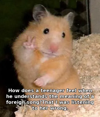 How does a teenager feel when he understands the meaning of a foreign song?That I was listening to her wrong.