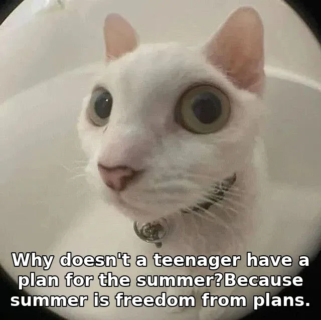 Why doesn't a teenager have a plan for the summer?Because summer is freedom from plans.