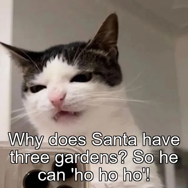 Why does Santa have three gardens? So he can 'ho ho ho'!