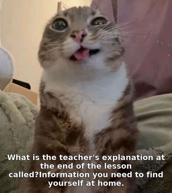 What is the teacher's explanation at the end of the lesson called?Information you need to find yourself at home.