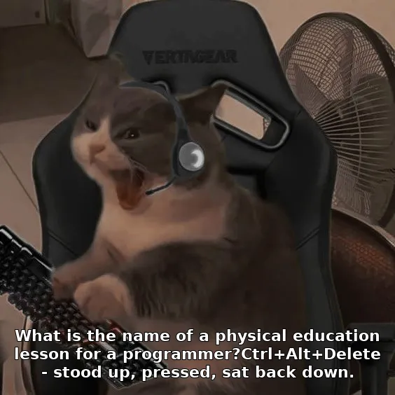 What is the name of a physical education lesson for a programmer?Ctrl+Alt+Delete - stood up, pressed, sat back down.