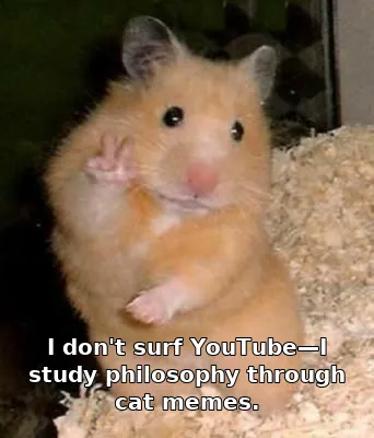 I don't surf YouTube—I study philosophy through cat memes.