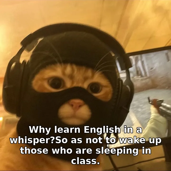 Why learn English in a whisper?So as not to wake up those who are sleeping in class.
